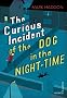 The Curious Incident of the Dog in the Night-time (Vintage Childrens Classics)