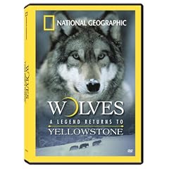 Wolves: A Legend Returns to Yellowstone by 