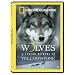 Wolves: A Legend Returns to Yellowstone