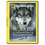 Wolves: A Legend Returns to Yellowstone [DVD] [2000] [Region 1] [US Import] [NTSC]