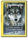 Wolves: A Legend Returns to Yellowstone