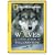 Wolves: A Legend Returns to Yellowstone