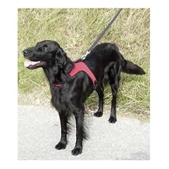 Kerbl Hundegeschirr SPORT Gr. S