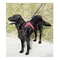 Kerbl Hundegeschirr SPORT Gr. M