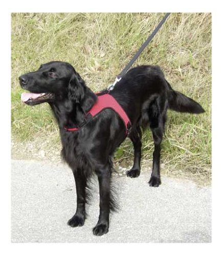 Kerbl Hundegeschirr SPORT Gr. L