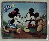 DISNEY MICKEY'S SPRING PICNIC THROW