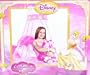 Disney Season of Enchantment Bed Canopy, Pink