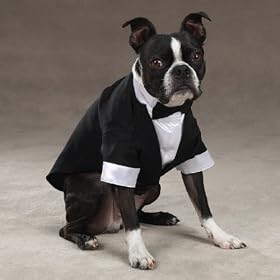 Medium Dog Tuxedo Fits Dogs 20 - 30 Lbs