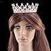 Stuff Crystal Crown Tiaras Prom Party Wedding Bridesmaid Hair Piece with Bobby Pins (Amethyst)