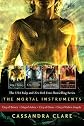 Cassandra Clare: The Mortal Instrument Series (4 books)