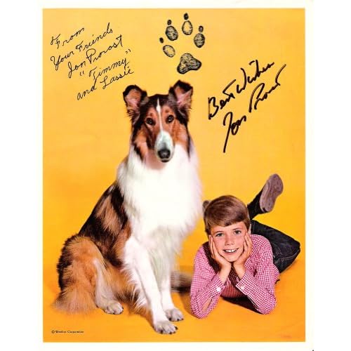 Lassie  Timmy Martin on Amazon Com  Jon Provost   Timmy Martin On  Lassie  Promo Is From The
