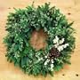 18" Fresh White Christmas Wreath