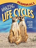 Mammals