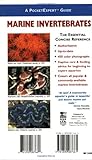 A PocketExpert Guide to Marine Invertebrates: 500+ Essential-to-Know Aquarium Species A PocketExpert Guide to Marine Invertebrates: 500+ Essential-to-Know Aquarium Species