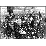 SLAVE NARRATIVES: A Folk History of Slavery in the United States From Interviews with Former Slaves - Arkansas, all seven parts in a single file, improved 8/20/2010'