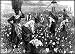 Books : Black American Classics: 11 books in a single file, with active table of contents