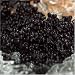 Gourmet Food : Whitefish Caviar Black 1 oz - New Look!