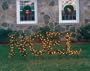 Huge Evergreen Noel Lighted Topiary Bush 30"H x 80"W By GKI #179631