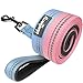 Blueberry Pet 3M Reflective Pastel Color Dog Leash with Soft & Comfortable Handle, 5 ft x 5/8