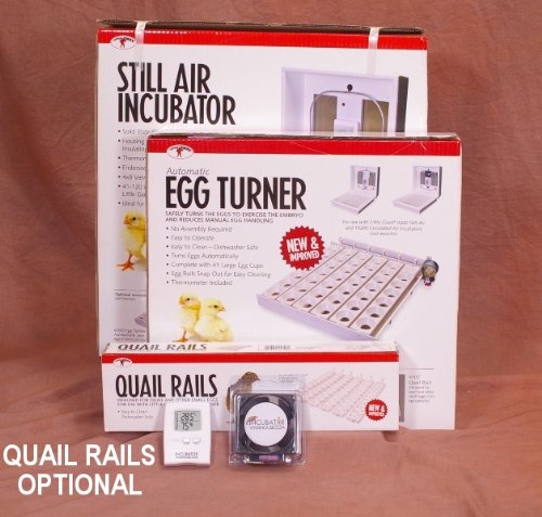 Little Giant Advanced Egg Incubator Combo Kit