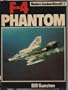 F-4 Phantom (Modern combat aircraft)