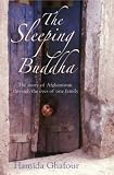 The Sleeping Buddha
