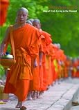 Journey in Asia 2 "Bliss of Truly Living in the Moment " - People on the 20 degrees