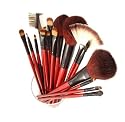 SHANY© Professional 12pc Cosmetic Brush Set - W/Pouch - Color Vary
