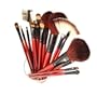 SHANY Professional 13-Piece Cosmetic Brush Set with Pouch, Set of 12 Brushes and 1 Pouch, Red