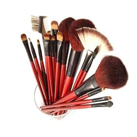 SHANY Professional Cosmetic Brush Set with Pouch (Color May Vary), 12-Pieces