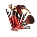 SHANY Professional Cosmetic Brush Set with Pouch (Color May Vary), 12-Pieces