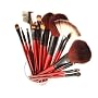 SHANY Professional Cosmetic Brush Set with Pouch (Color May Vary), 12-Pieces
