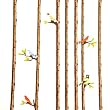 Martha Stewart Crafts Sticker Borders Birds On Branch 12'' By The Package