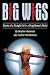 Book Big Wigs: Stories of a Straight Girl in a Drag Queen's World