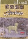 Golden Labrador with Duck Decoys & Training Decoy