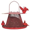 No/No C00322 Red Cardinal Feeder