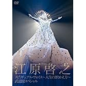 スピリチュアル・ヴォイス-人生のきりかえ方-武道館スペシャル [DVD]