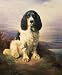 Royala Working Springer Spaniel by Lillian Cheviot Fine Art Print Poster