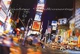 Times Square, NY Wall Mural