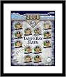2008 Tampa Bay Rays MLB Framed 8x10 Photograph Team Collage - CLOSEOUT SPECIAL