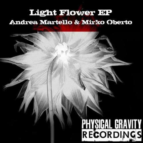 Light Flower (Original Mix)