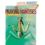 Praying Mantises: Hungry Insect Heroes (Insect World)