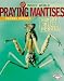Insect World:Praying Mantises(Gr.4-8)