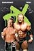 DX~ DX Poster~ HBK~ HHH~ WWE~ Approx 24