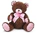 Pink & Brown Classic Plush Teddy Bear Stuffed Animal