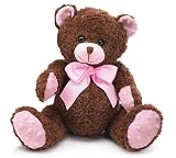 Pink & Brown Classic Plush Teddy Bear Stuffed Animal