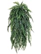 60" Weeping Boston Fern Hanging Bush X69 Green, with No Pot, Basic Assembly and Shaping Needed.