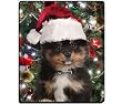 Pomeranian Christmas Mousepad