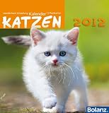 Wunderbare Schöpfung Katzen 2012: Tischaufstellkalender mit Bibelversen und Katzenfotos