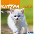 Wunderbare Sch�pfung Katzen 2012: Tischaufstellkalender mit Bibelversen und Katzenfotos